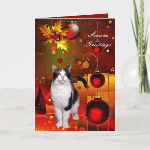 Card Christmas Cat