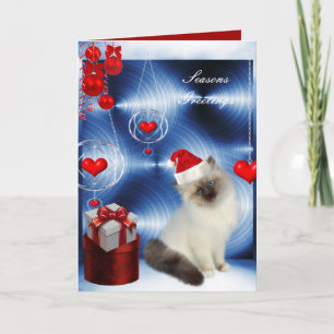 Card Christmas Fluffy White Grey Cat