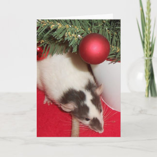 Card: Christmas Rats Holiday Card