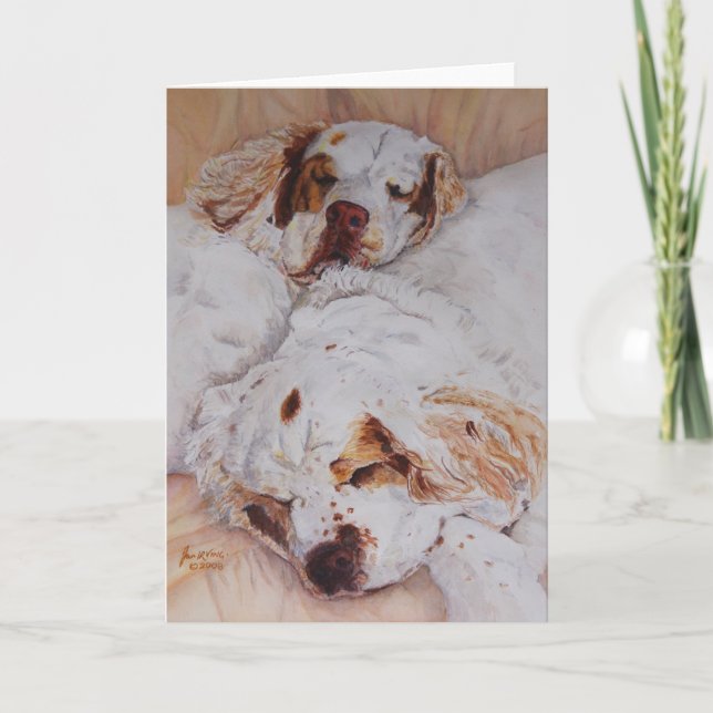card - Comfort - Two Clumber Spaniels (Front)