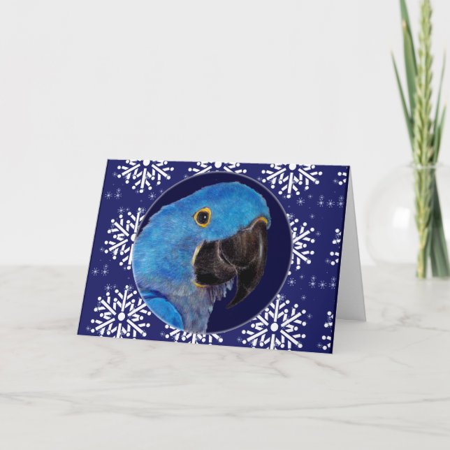 Card - Decorative Holiday Hyacinth Macaw (Front)