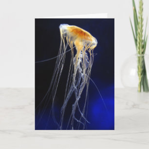 Card - Drifting Lace