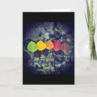 card for everyone and every season