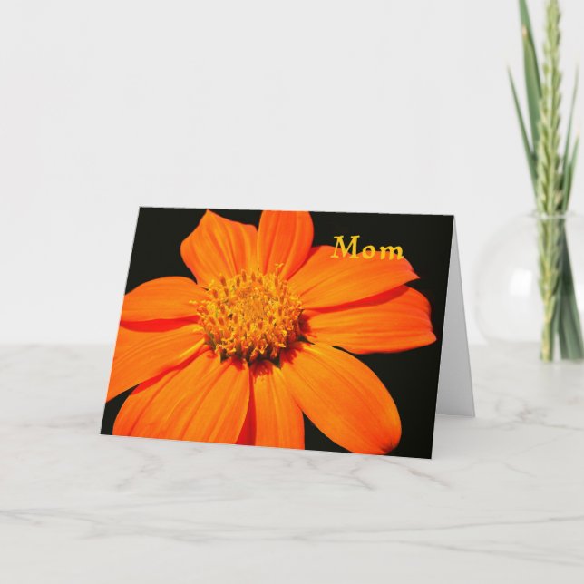 Card for Mother's Day with Pretty Orange Flower (Front)