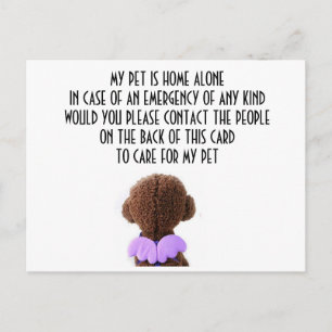 CARD FOR "YOUR PET" IN CASE YOU HAVE AN EMERGENCY