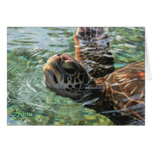 Card: Green Sea Turtle