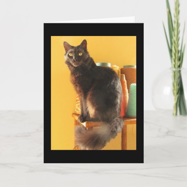 Card - Greeting - Cat with Yarn (Front)