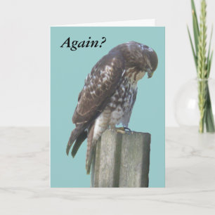 Card - Greeting - Falcon belated