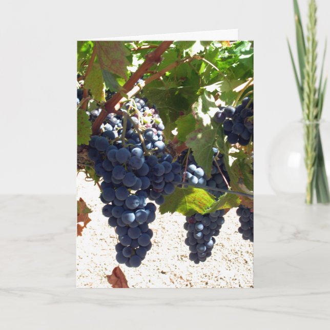 Card - Greeting - Grapes on vine (Front)