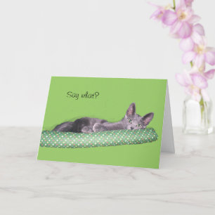 Card - Greeting - Gray kitten