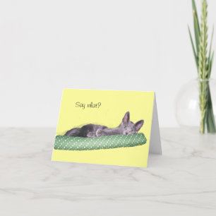 Card - Greeting - Grey kitten