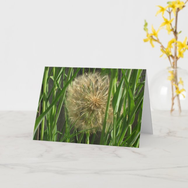 Card - Greeting - Puff ball (Yellow Flower)