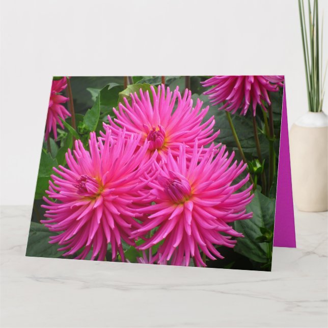 Card - Happy Birthday - Rosy Dalias (Front)