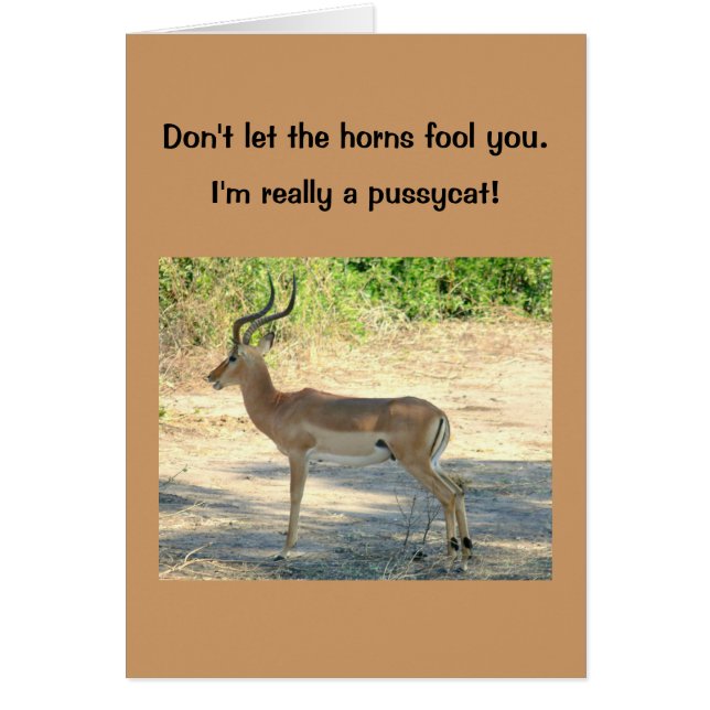 card, Humourous, "Don't Let the Horns Fool You" (Front)