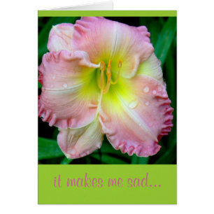 CARD, "It Makes Me Sad", flower, (photog) with rai