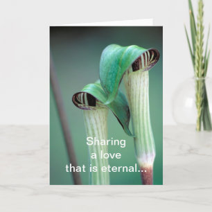 Card / Jack-in-the-pulpit