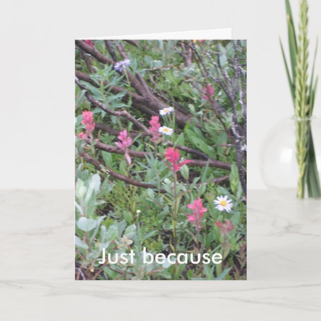 card: Just because Card (Front)