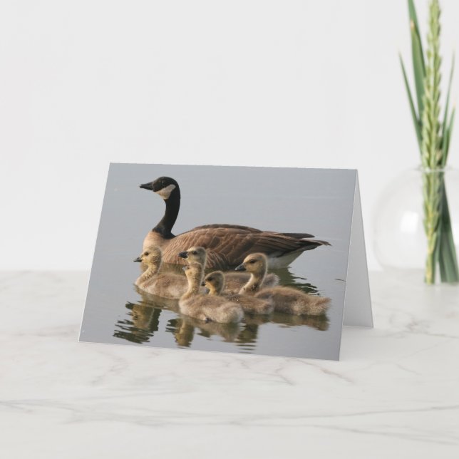 Card / Lesser Canada Goose Brood (Front)