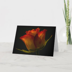 Card - Orange & Yellow Rose