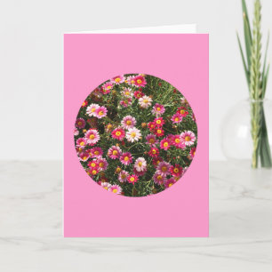 Card, "Painted Daisies in a Circle" F-1 Card