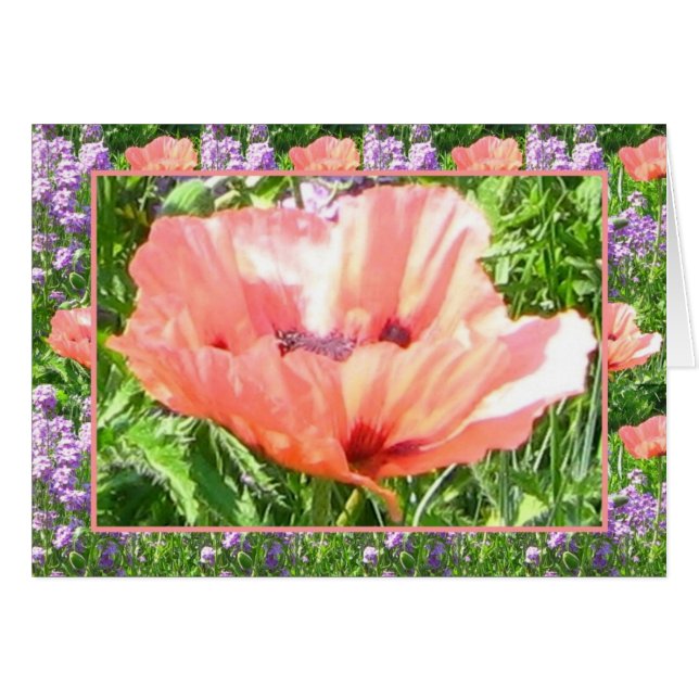 Card - Poppy Popped! (Front Horizontal)