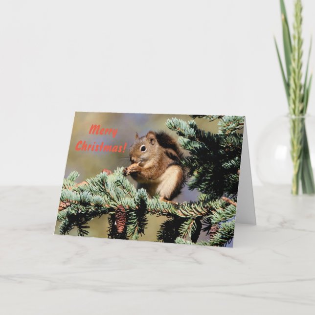 Card /  Red Squirrel / Christmas (Front)