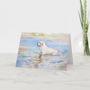 card - Reflection - Clumber Spaniel