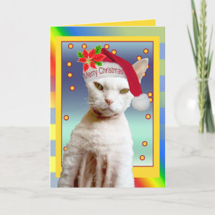 Card   Rex Cat Santa Meow Christmas