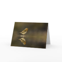 Card Robin reflections card
