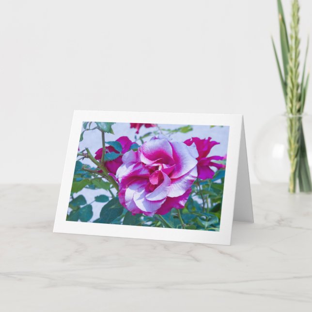 Card, Rose # 232 Card (Front)