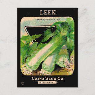 Card Seed Company envelope cover - leeks