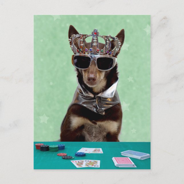 Card Shark King (Front)