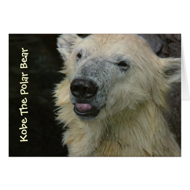 Card: Smiling Polar Bear (Front Horizontal)