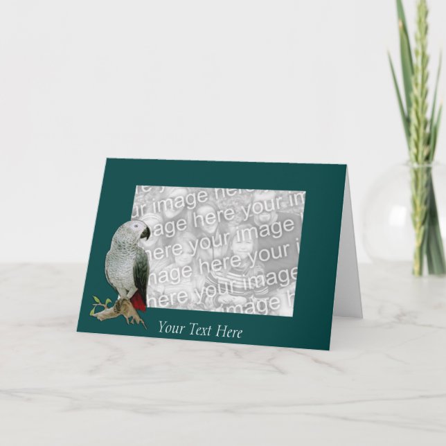 Card Template - African Grey Parrot (Front)