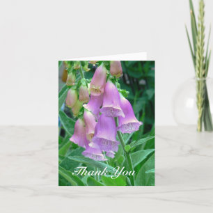 Card, Thank You,Lavender Foxgloves Wtih Raindrops You Card