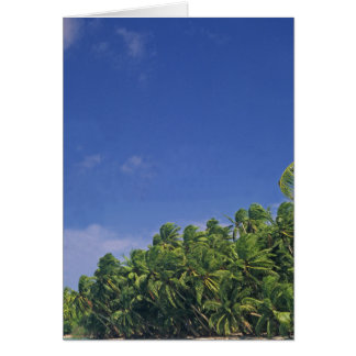 Card, the Shoreline of Pukapuka.