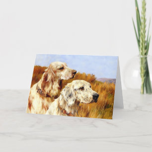 Card:  Two Setters by Arthur Wardle Card