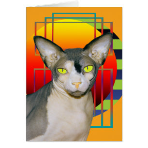 Card Vamp Sphynx Cat (Orange)