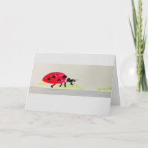Card with watercolor of Giant Ladybug! 