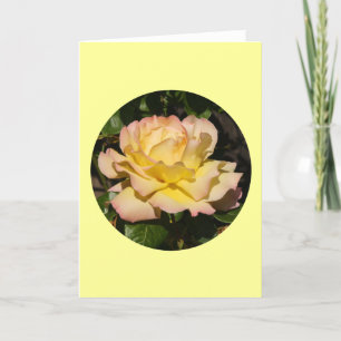 Card, Yellow Pink Blush Rose" P-1 Card