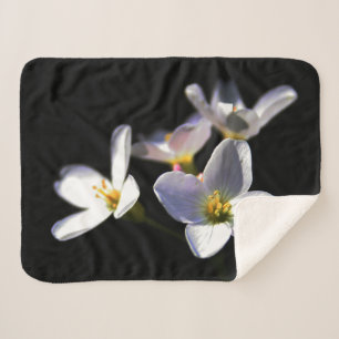 Cardamine Pratensis Flowers sbcnm Sherpa Blanket