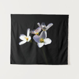 Cardamine Pratensis Flowers wta Tapestry