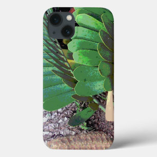 Cardboard Palm (Cardboard Plant) iPhone 13 Case
