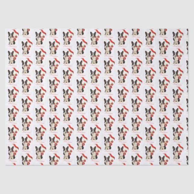 Cardigan Corgi Christmas Tissue Paper (Front)