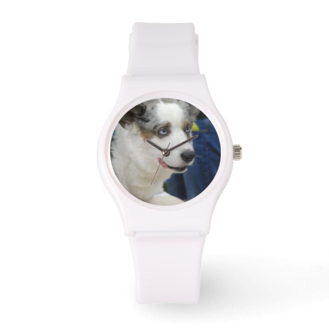 Cardigan Welsh Corgi Dog Watch (Front)