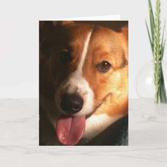 Cardigan Welsh Corgi Greeting Card (Front)