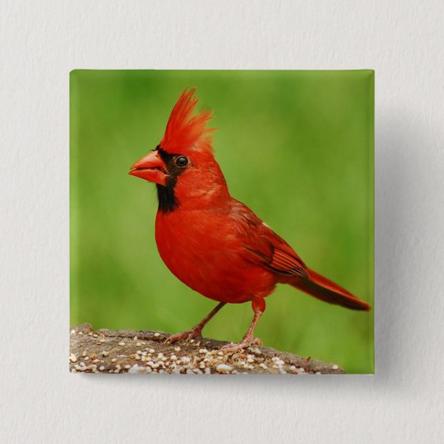 Cardinal 15 Cm Square Badge (Front)