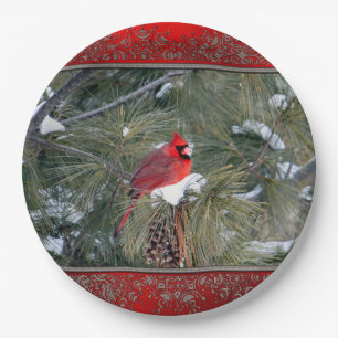 Cardinal 3097 Frame Paper Plate