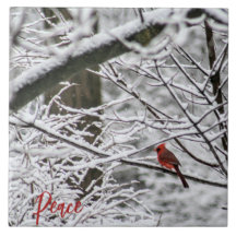 Cardinal among snowy branches