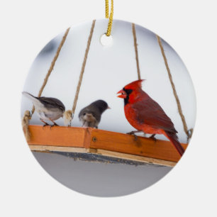 Cardinal and Juncos Ceramic Tree Decoration